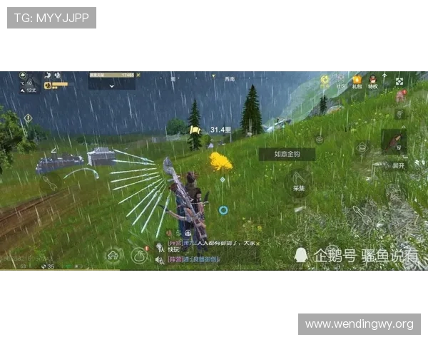 问鼎网页版入口6686，开启你的游戏之旅从这里开始