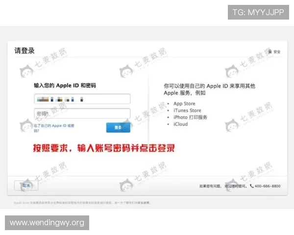 安全稳定的问鼎平台入口登录流程详解确保账号安全